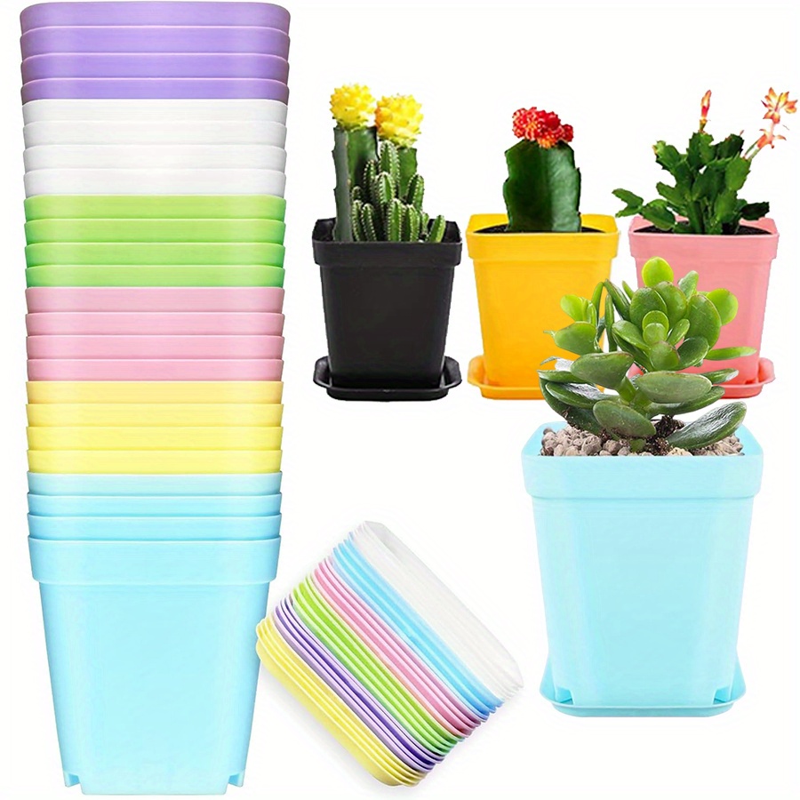 Aloe Vera Pot - Macetas cuadradas de plástico de 7cm