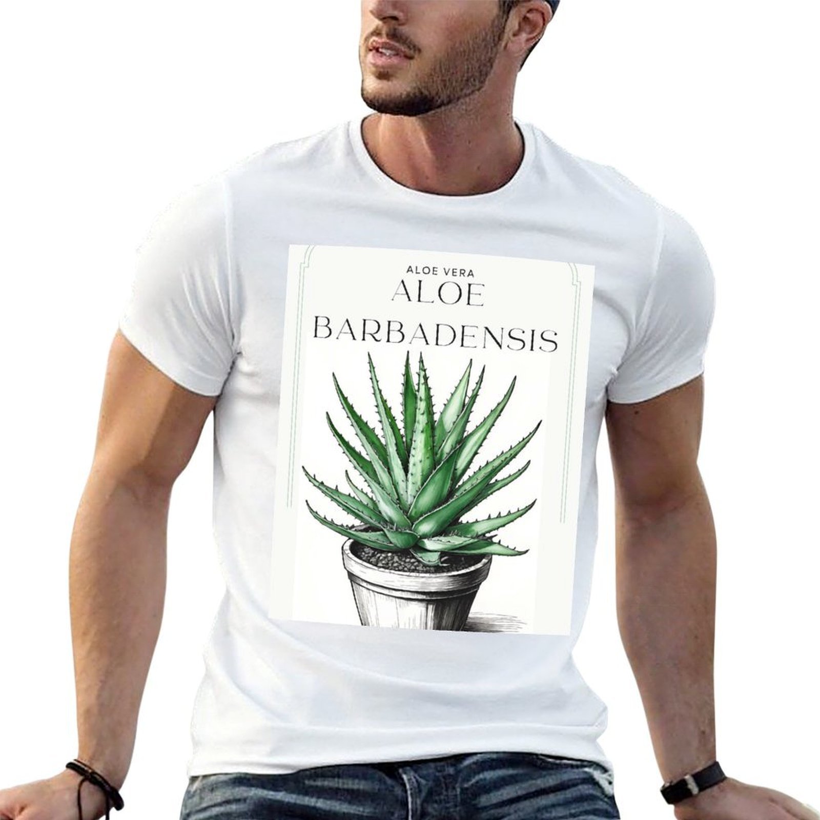 Aloe Vera botánico en maceta,  - Aloe Vera Pot reseña y precio