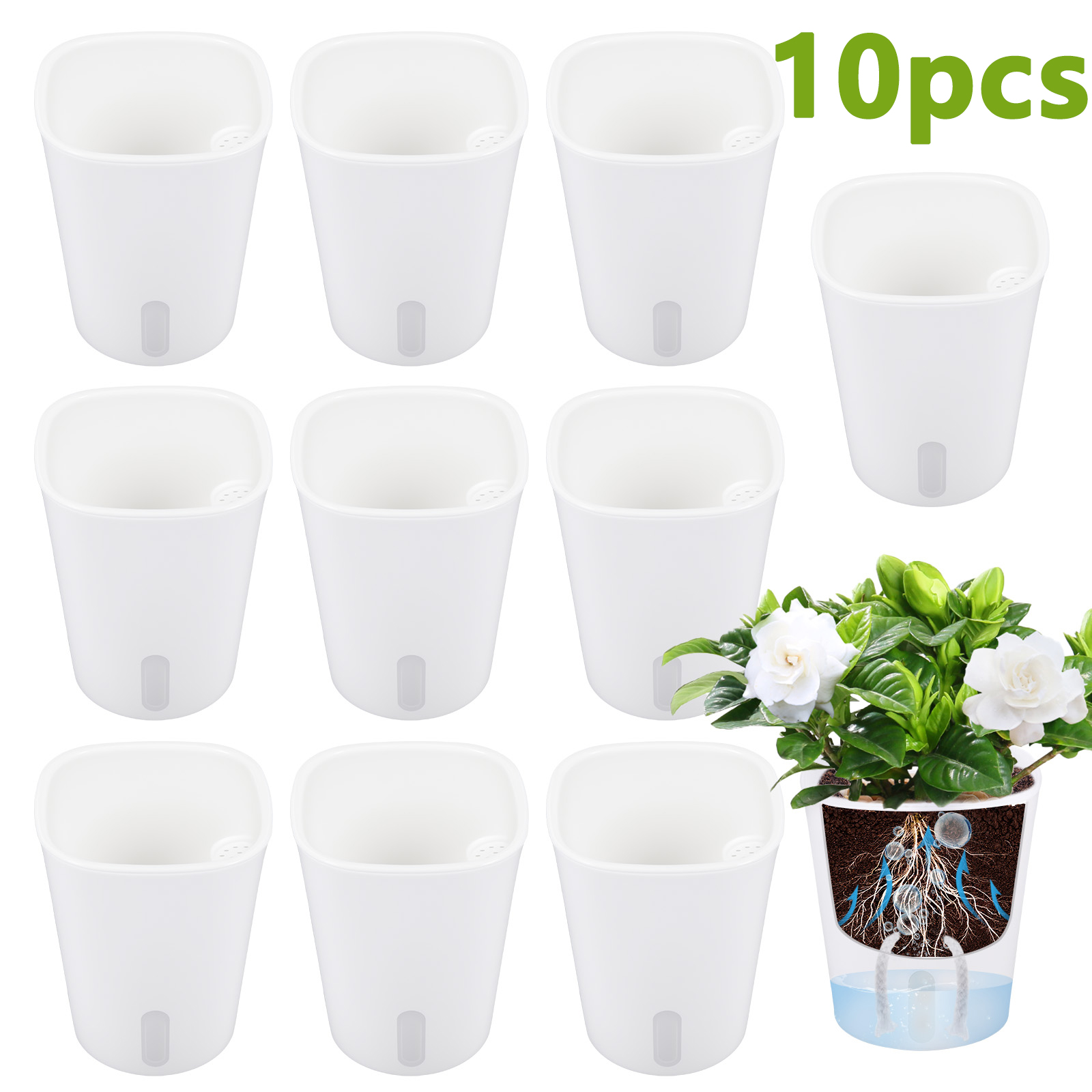 10 Macetas de Plástico con Aut - Aloe Vera Pot reseña y precio
