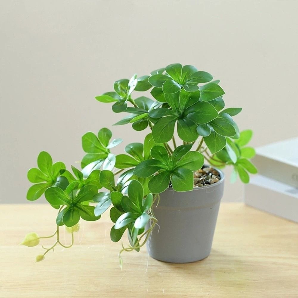 Bonsái Artificial, Planta Arañ - Spider Plant Hanging reseña y precio