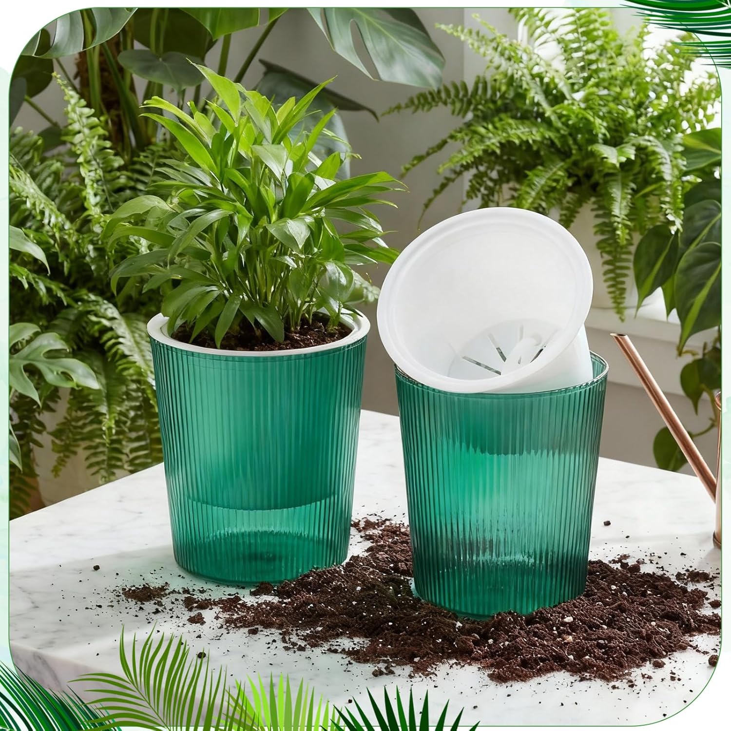 Macetas Transparentes con Auto - Aloe Vera Pot reseña y precio